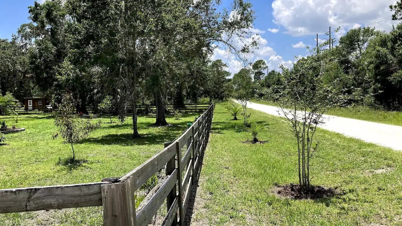Photo of Outdoor in Arcadia