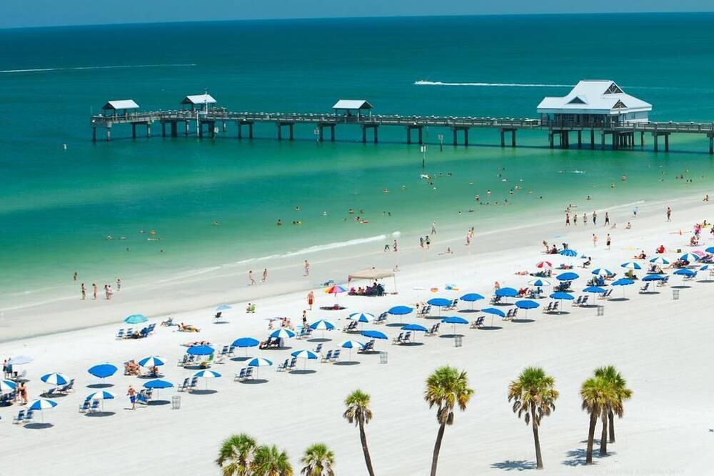 Photo of Others in Palm Harbor