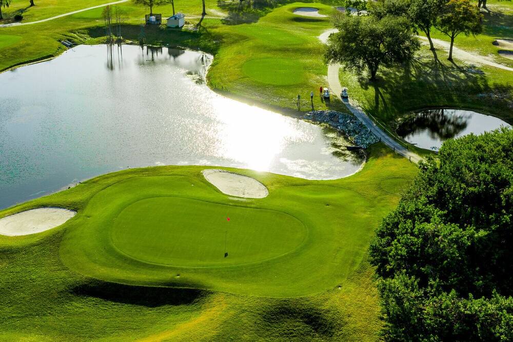 Photo of Others in Palm Harbor