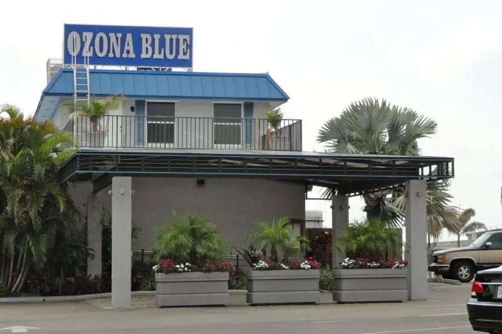 Photo of Outdoor in Palm Harbor