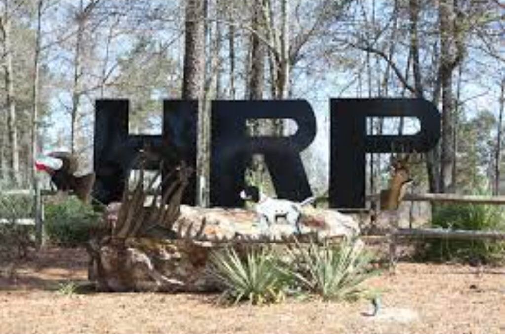Photo of Buildings in Millen