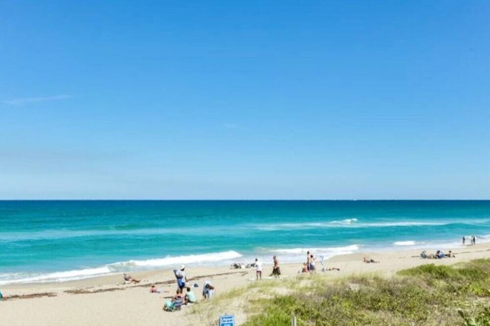 Photo of Others in Juno Beach
