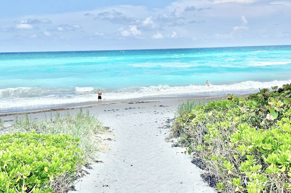 Photo of Others in Juno Beach