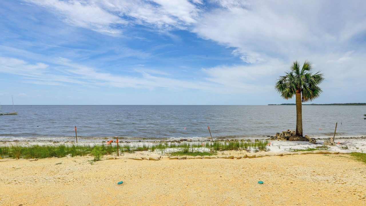 Photo of Others in Cedar Key