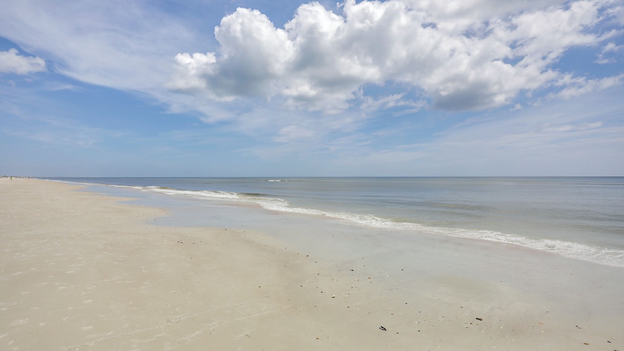 Photo of Others in Crescent Beach