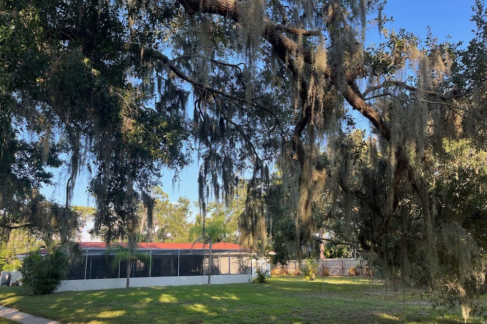 Photo of Outdoor in Lake Sarasota