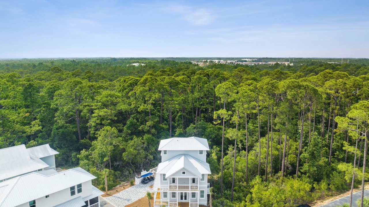 Photo of Outdoor in Treetop