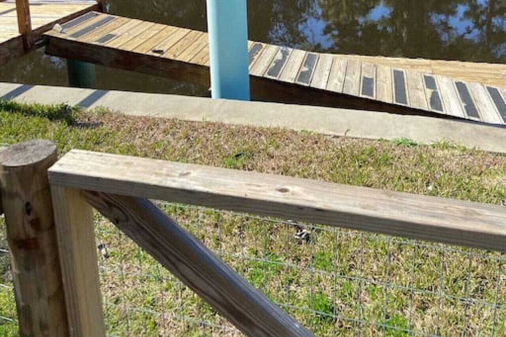 Photo of Others in Suwannee