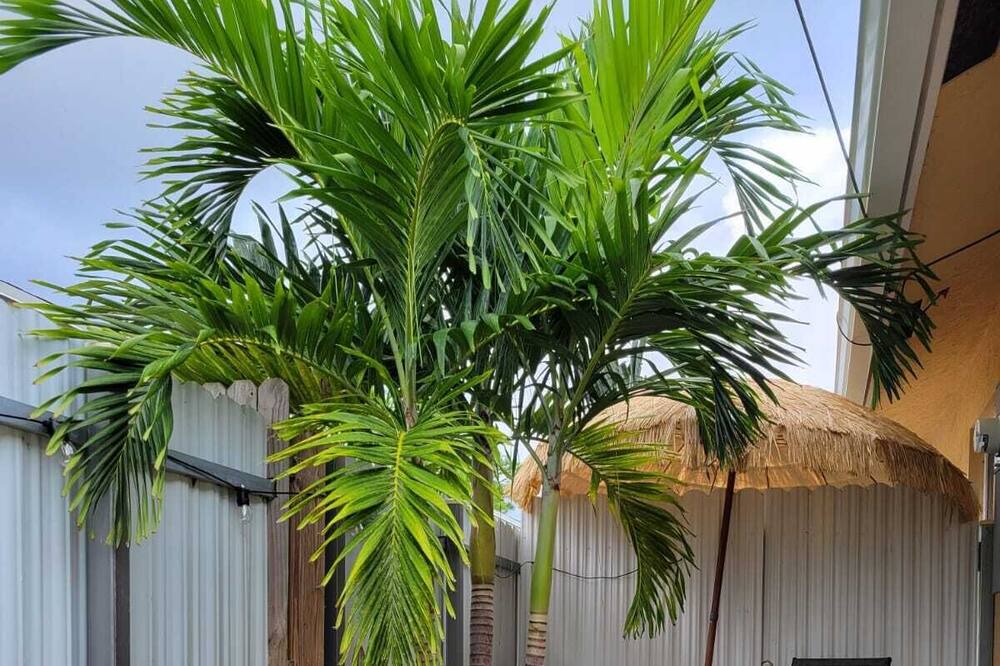 Photo of Patio Balcony in Lake Worth Corridor