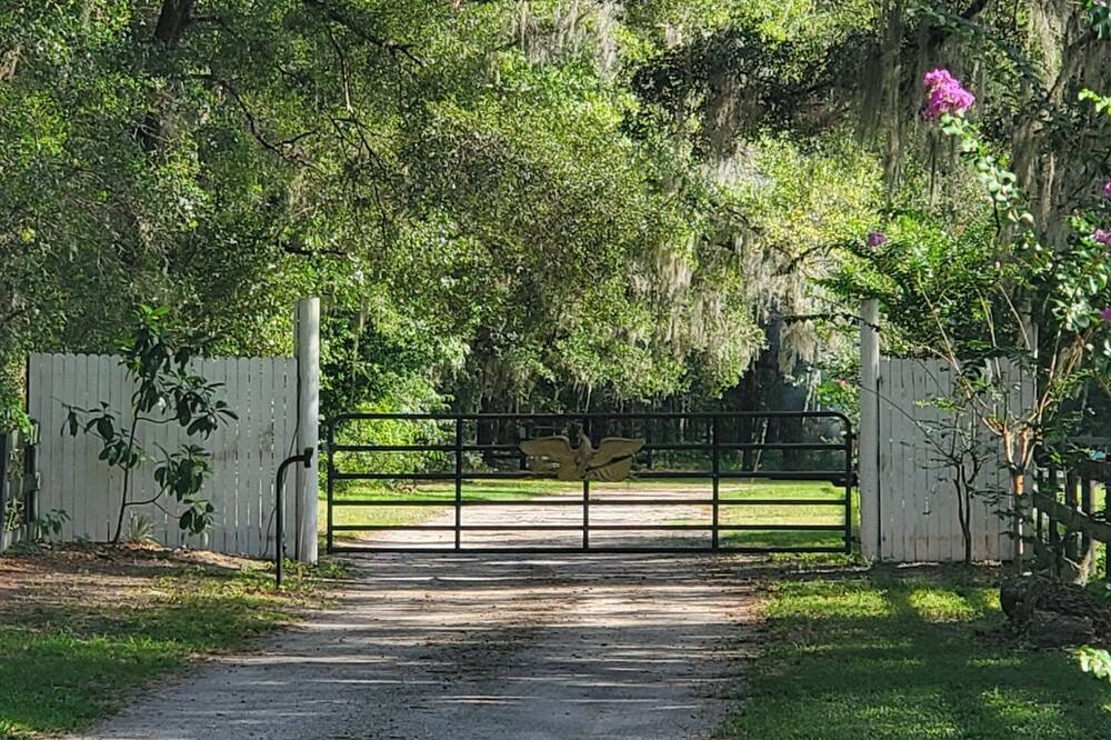 Photo of Outdoor in Dunnellon