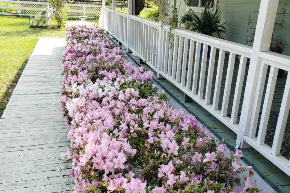 Photo of Outdoor in Dunnellon