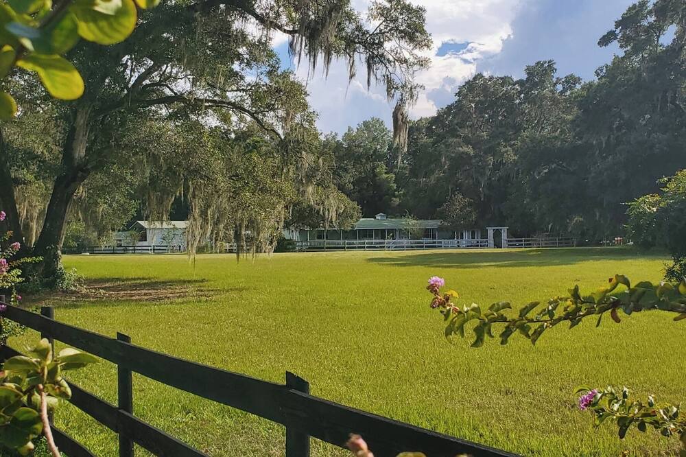 Photo of Outdoor in Dunnellon