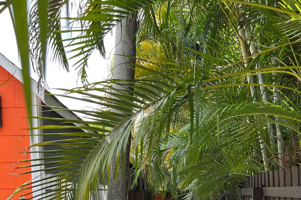 Photo of Outdoor in Gulfport