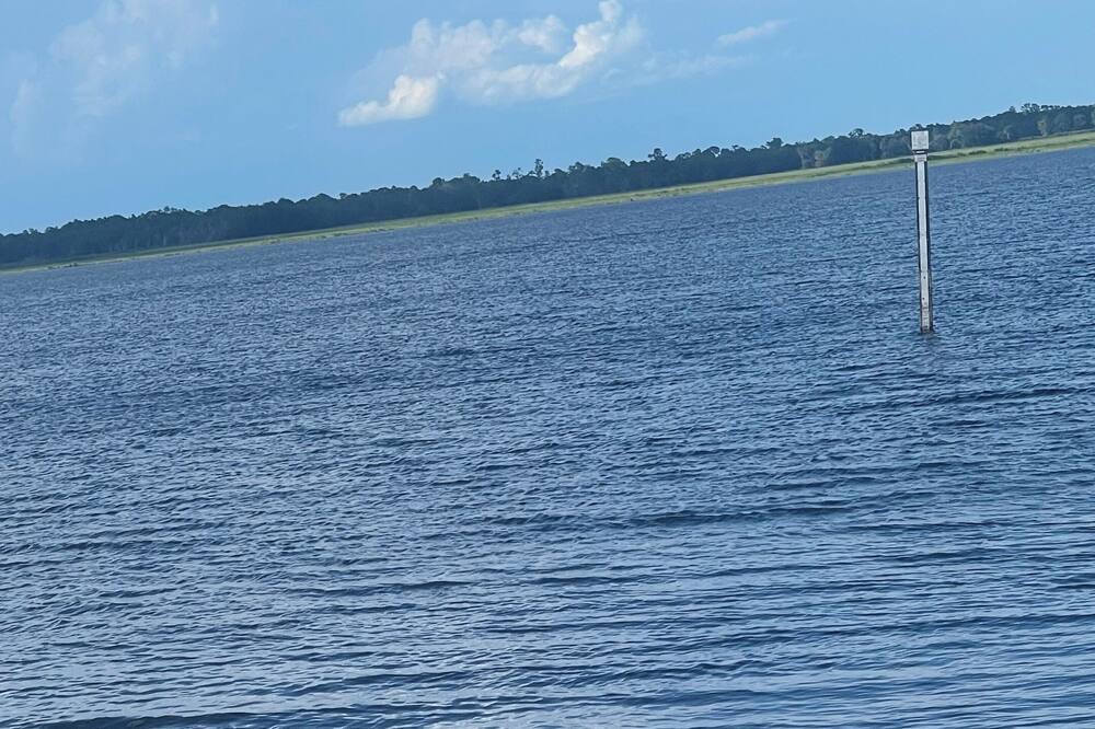 Photo of Others in Florida South Atlantic Coast