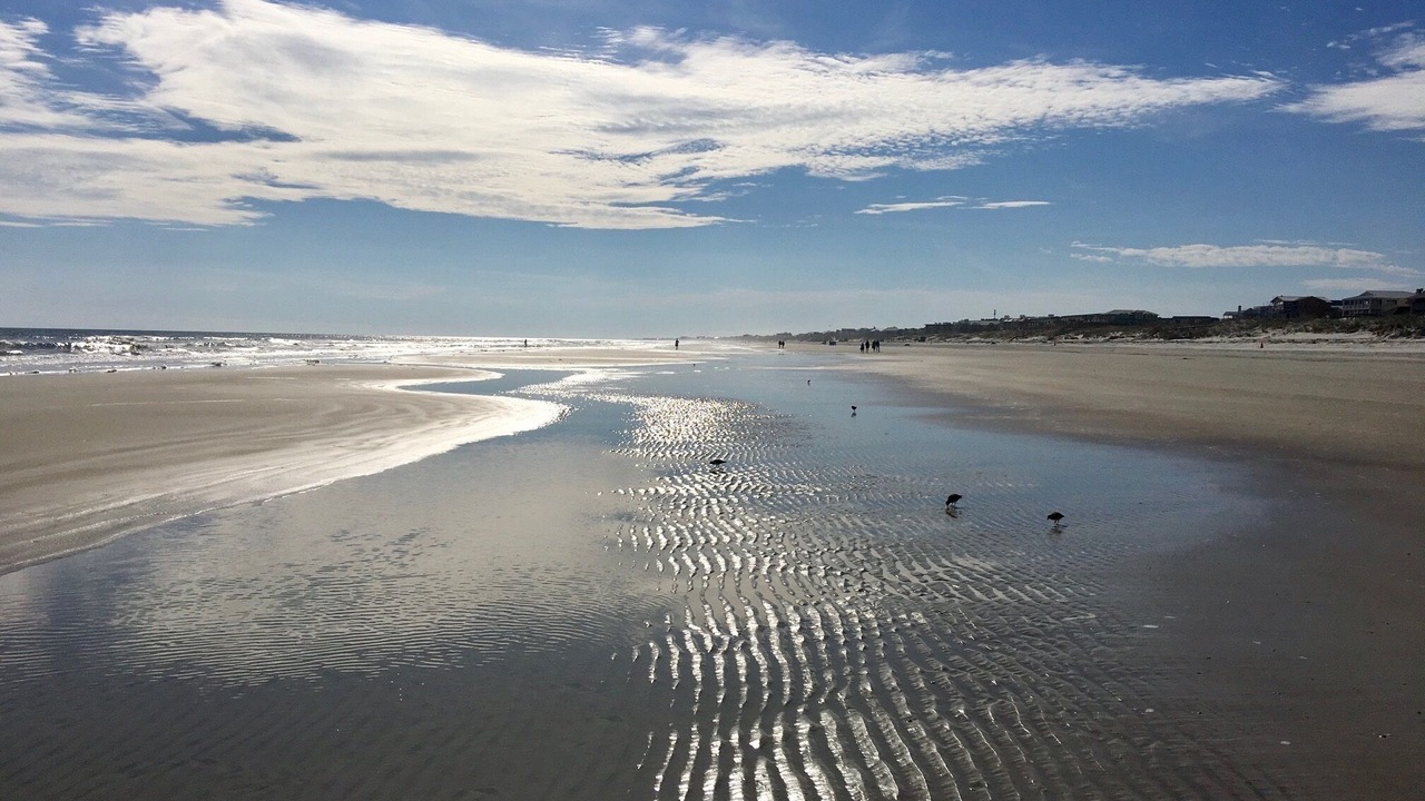 Photo of Others in Crescent Beach