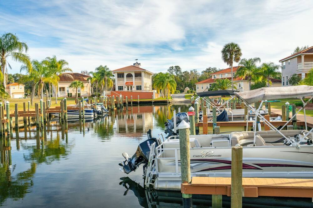 Photo of Others in Homosassa