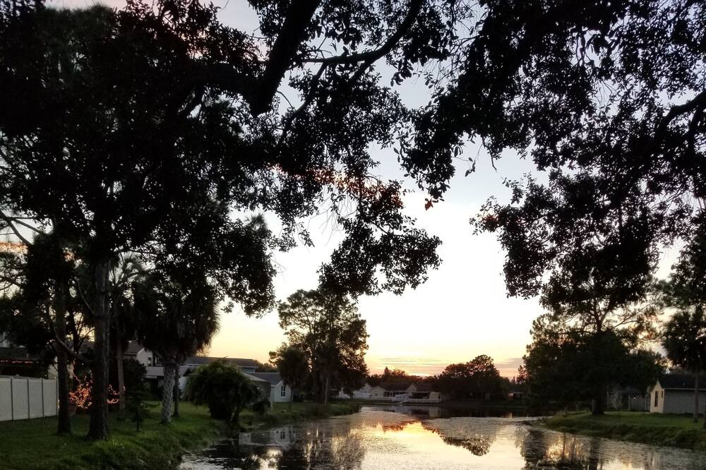 Photo of Outdoor in Carrollwood