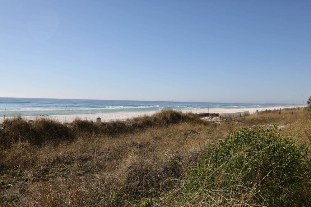 Photo of Others in Panama City Beach