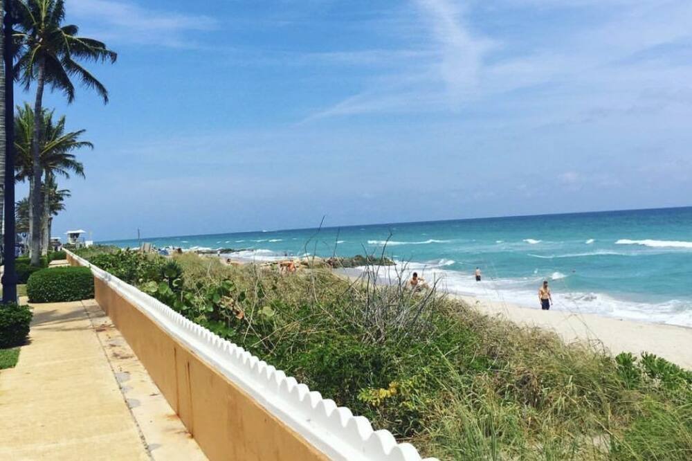 Photo of Others in West Palm Beach