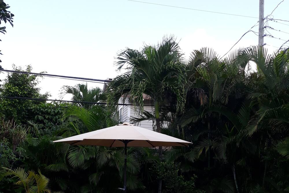 Photo of Outdoor in West Palm Beach