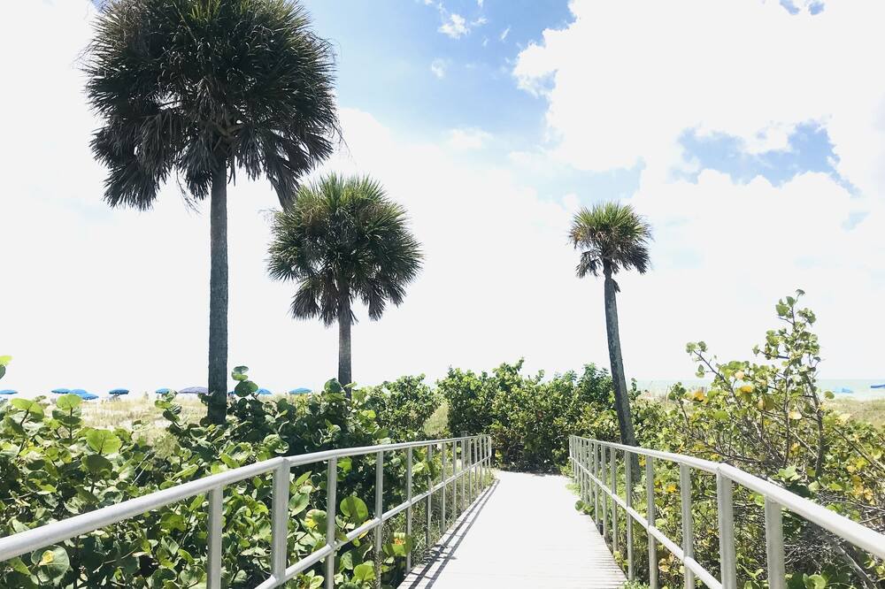Photo of Outdoor in Madeira Beach