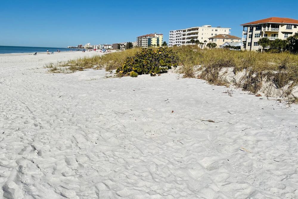 Photo of Others in Madeira Beach