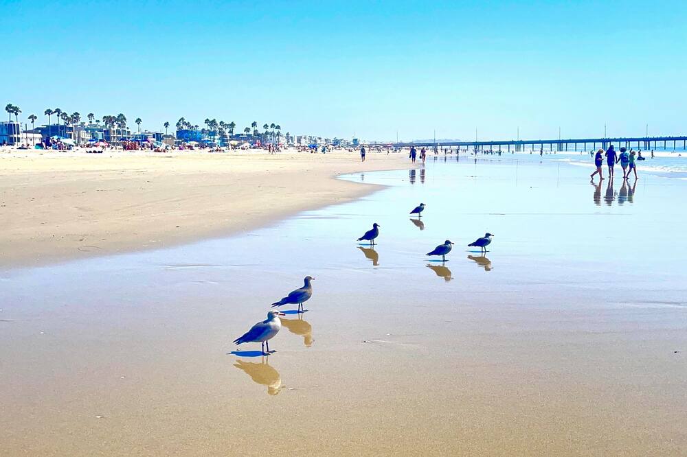 Photo of Others in Madeira Beach