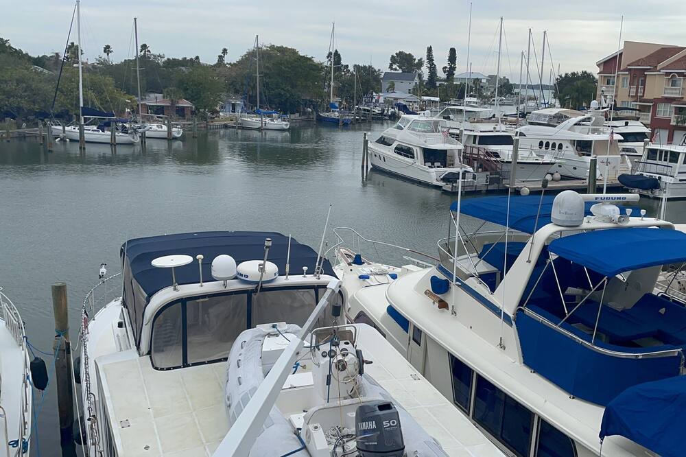 Photo of Outdoor in Madeira Beach
