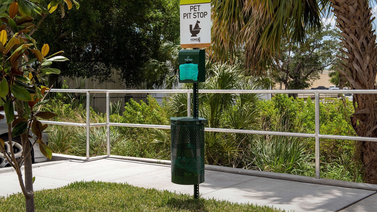 Photo of Outdoor in Westshore
