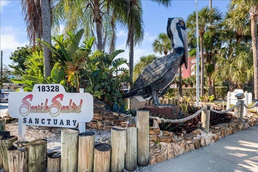 Photo of Others in Madeira Beach
