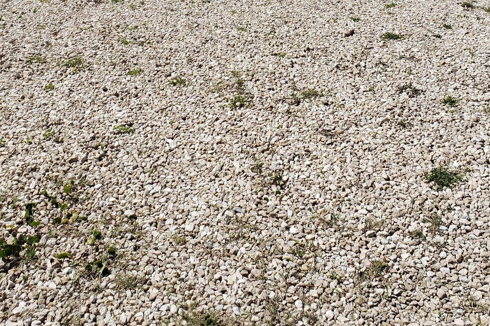 Photo of Outdoor in Keaton Beach