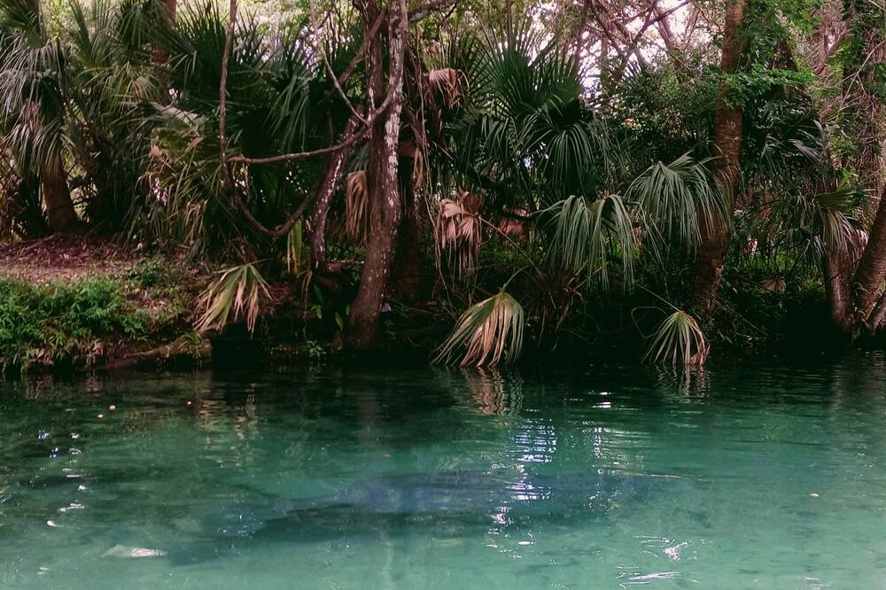 Photo of Others in North Weeki Wachee
