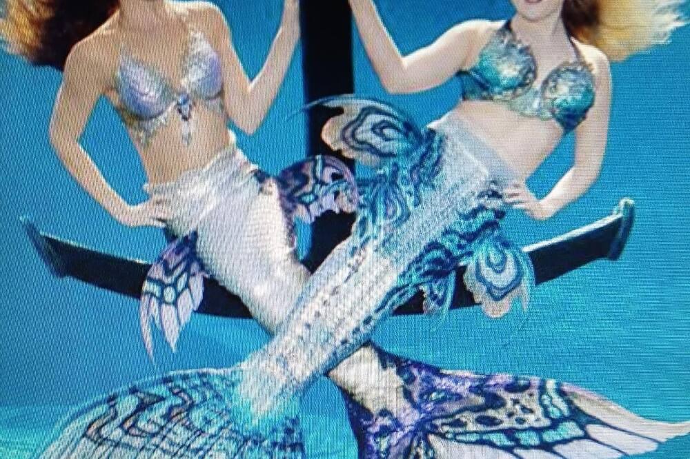 Photo of Others in North Weeki Wachee
