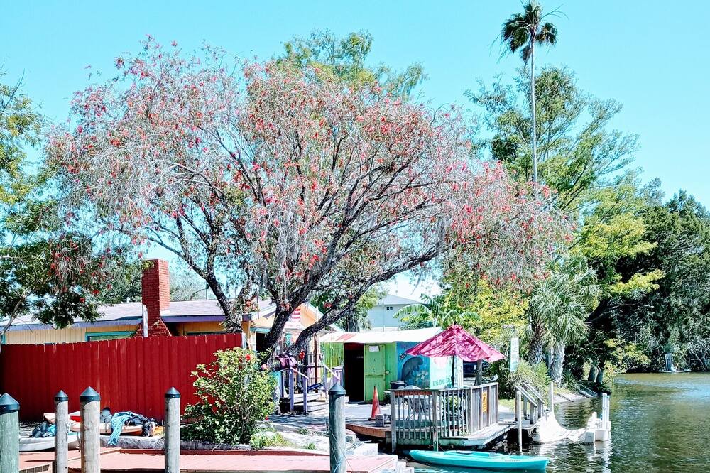 Photo of Others in North Weeki Wachee
