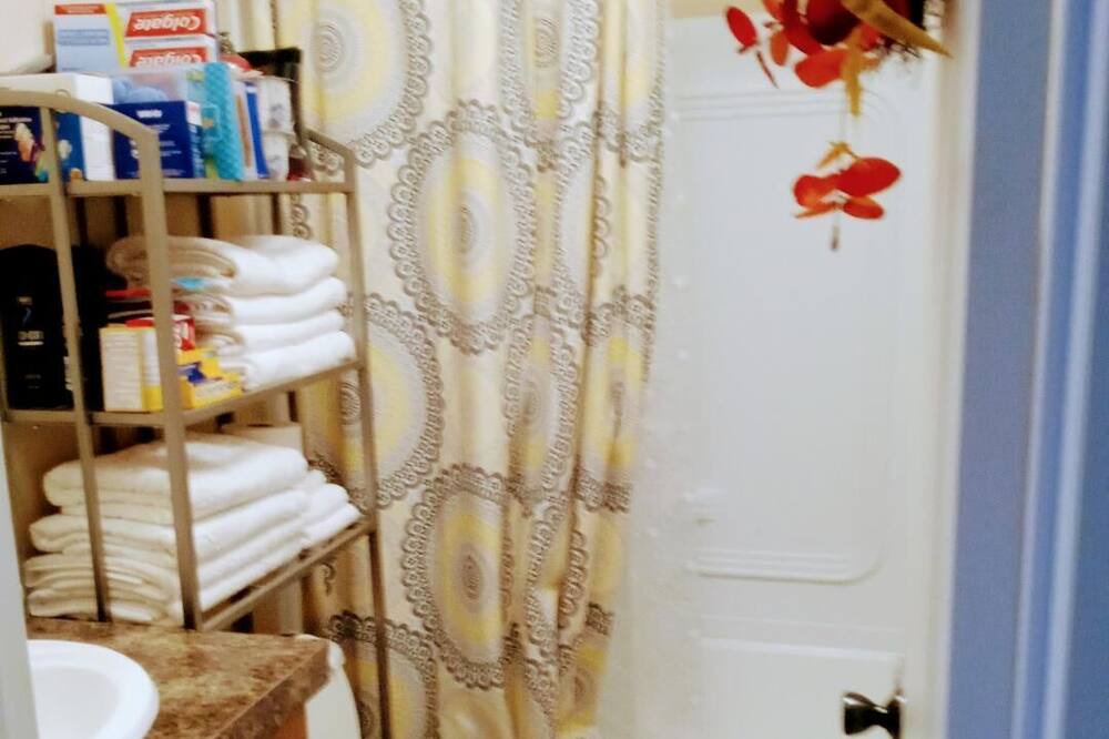 Photo of Bathroom in North Weeki Wachee