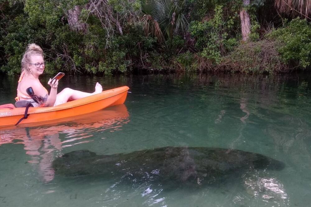 Photo of Others in North Weeki Wachee