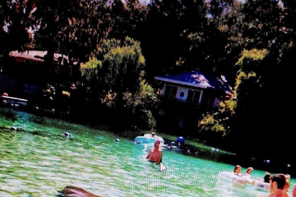 Photo of Others in North Weeki Wachee