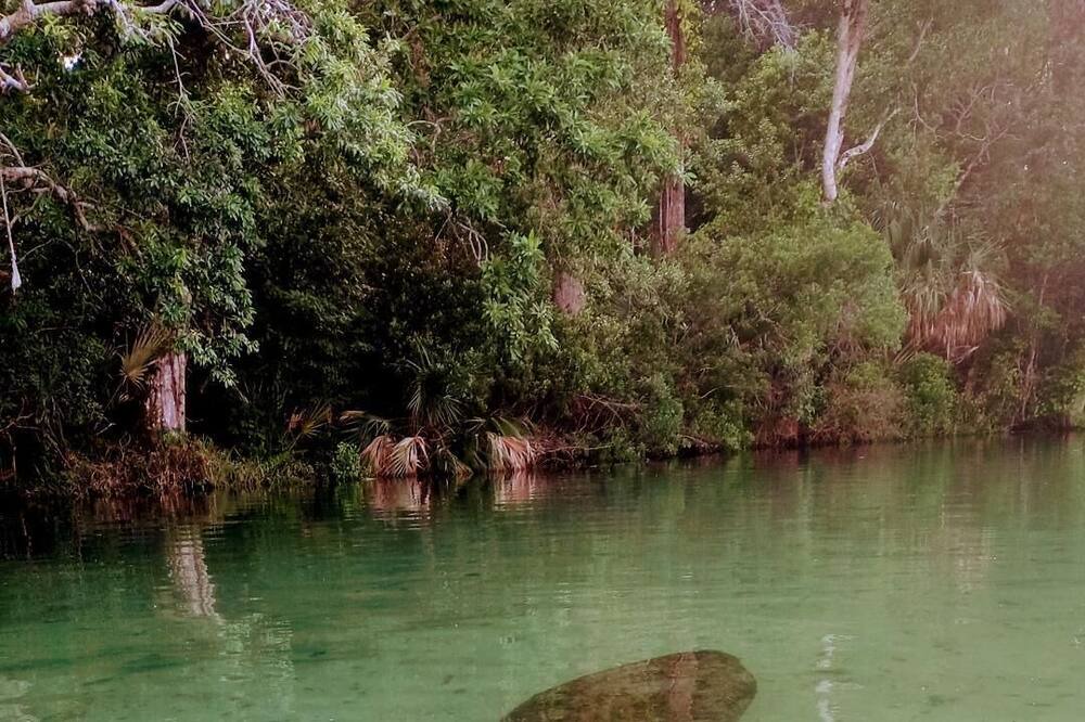 Photo of Others in North Weeki Wachee