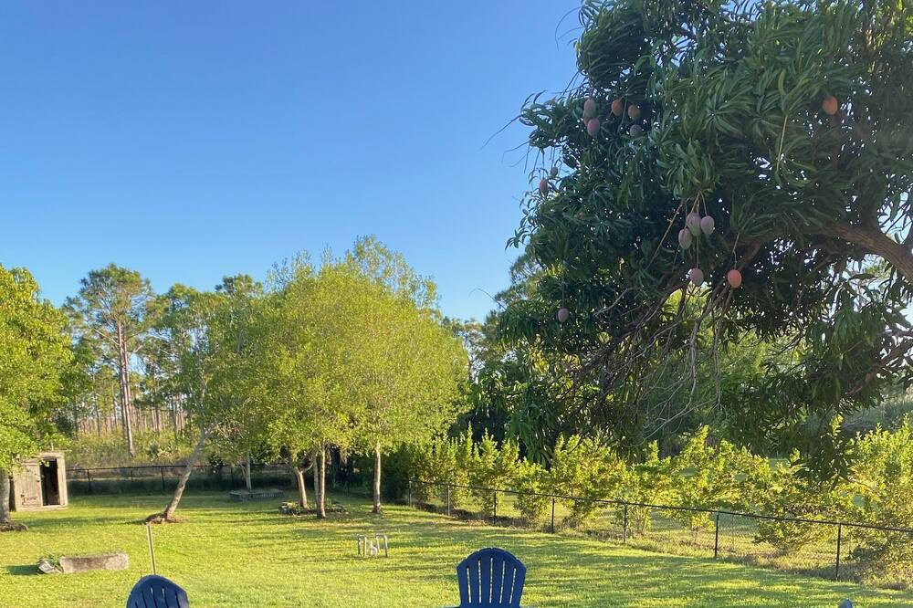 Photo of Outdoor in Indian River Estates