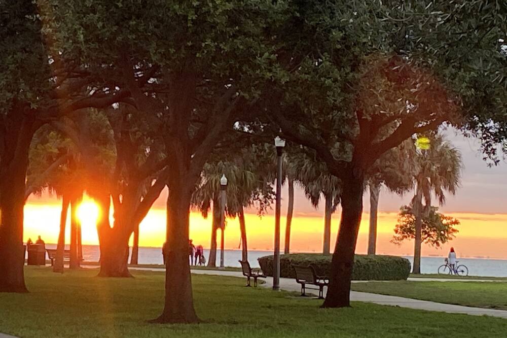 Photo of Outdoor in Pass-a-Grille