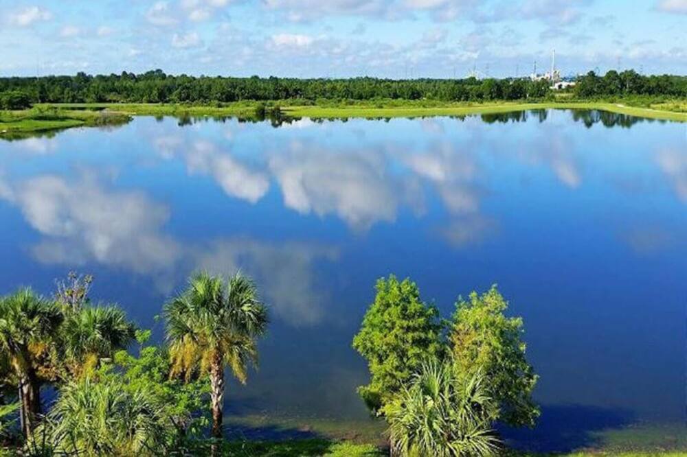 Photo of Others in Florida Central Atlantic Coast