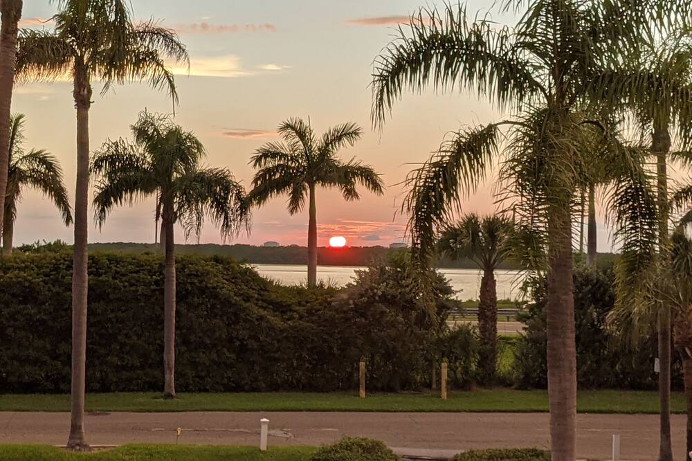 Photo of Outdoor in Pinellas Point