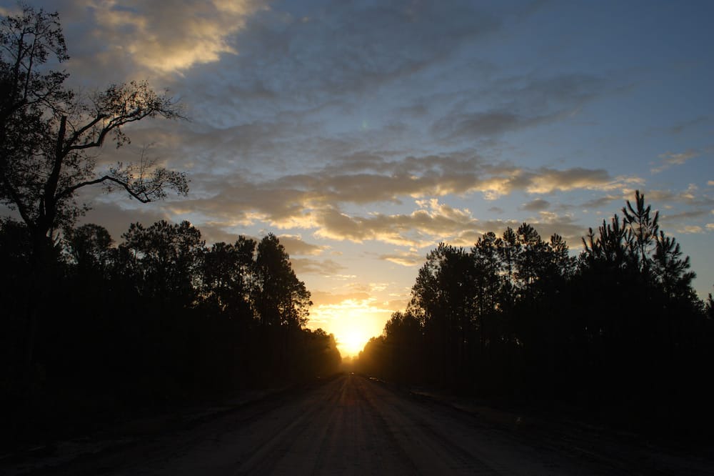 Photo of Others in Folkston