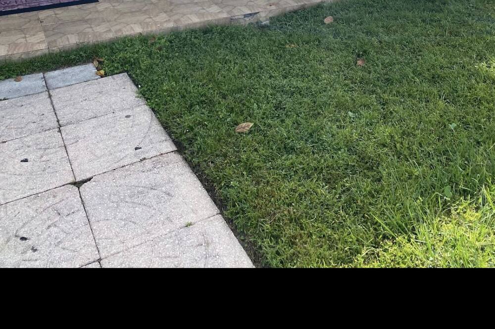 Photo of Outdoor in Orlando
