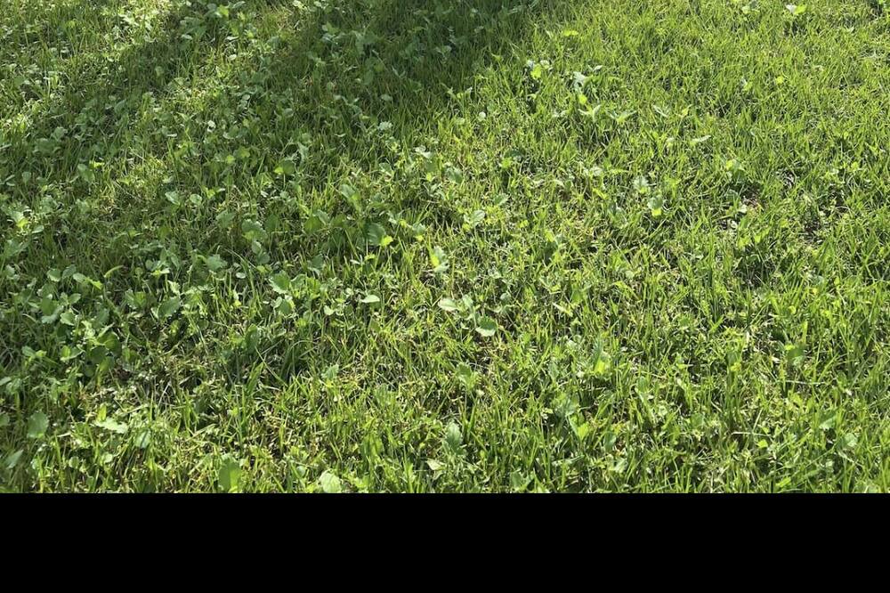 Photo of Outdoor in Orlando