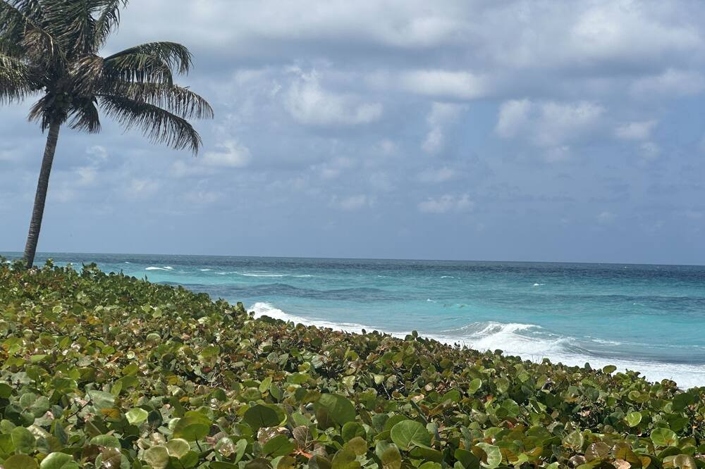 Photo of Others in Juno Beach