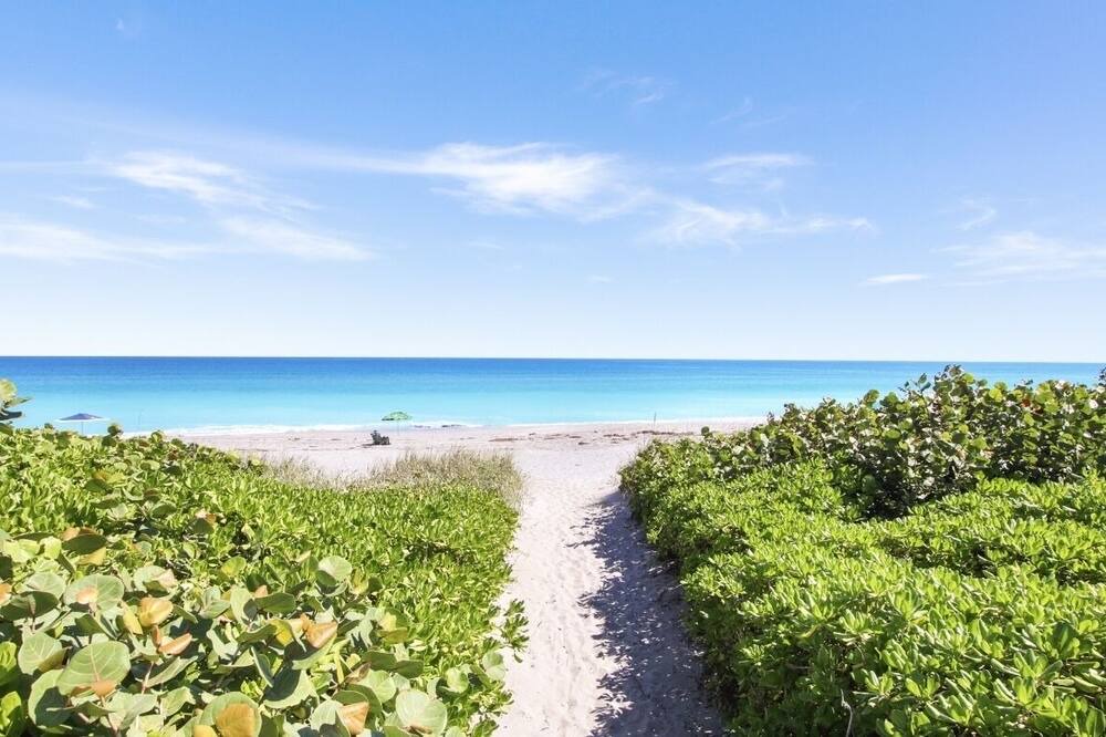 Photo of Others in Juno Beach