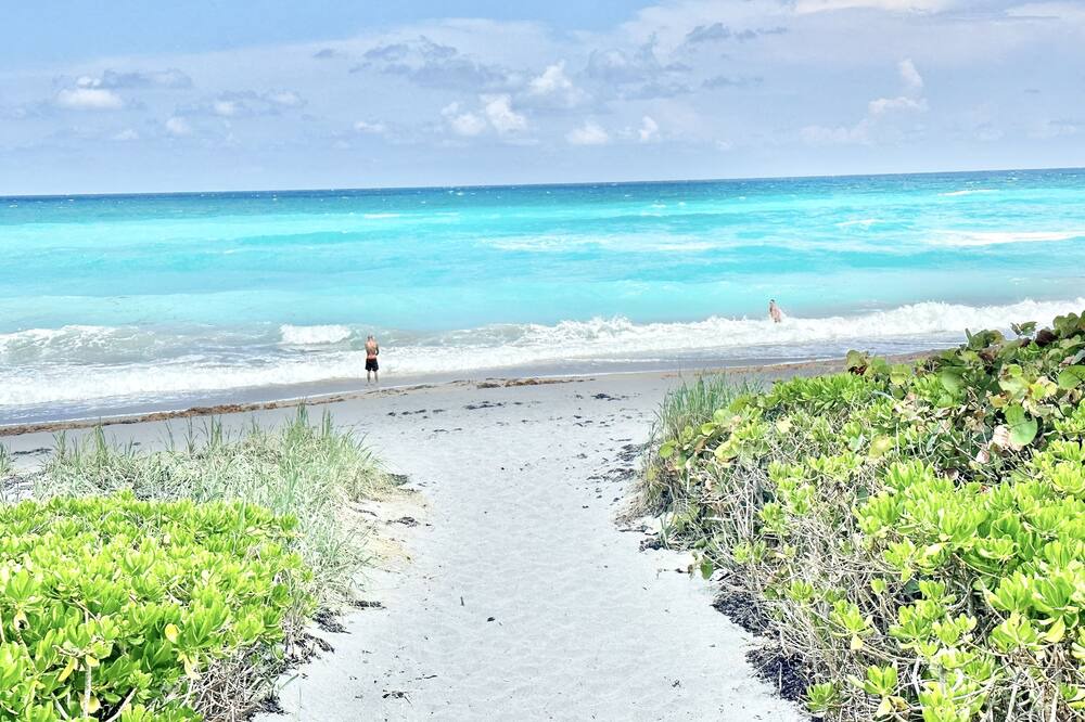 Photo of Others in Juno Beach