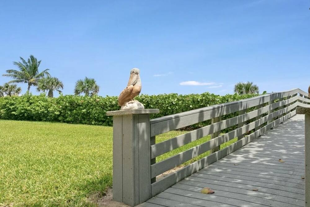Photo of Outdoor in Juno Beach