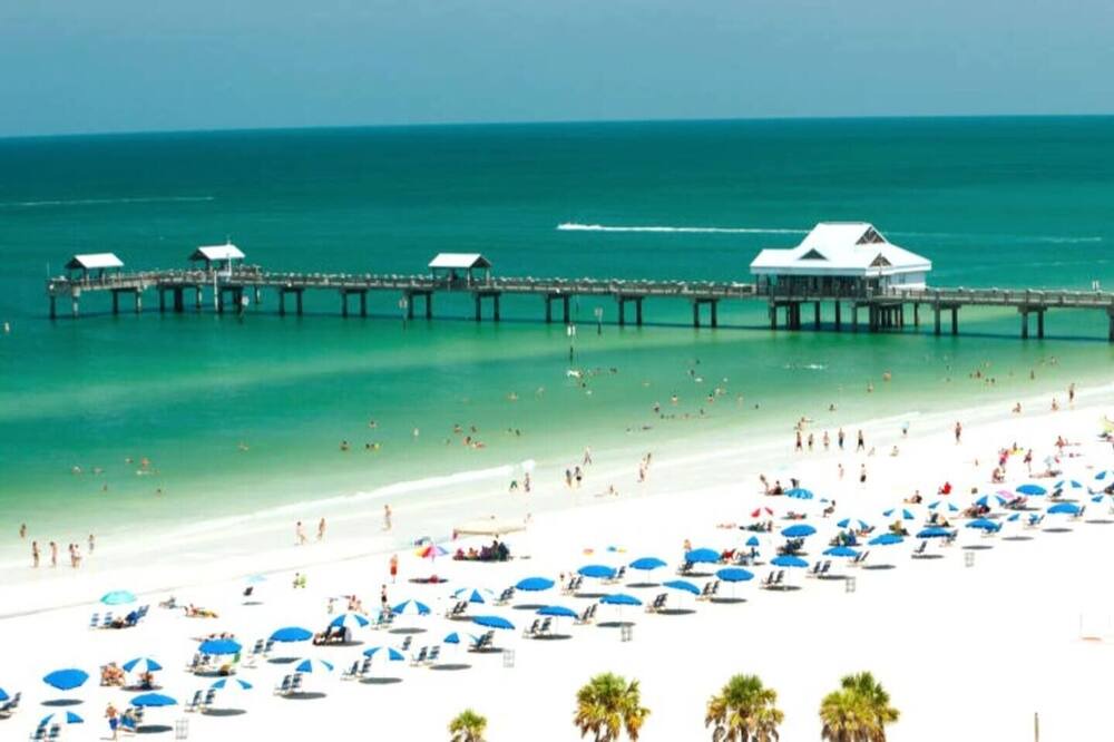 Photo of Others in Lake Valencia